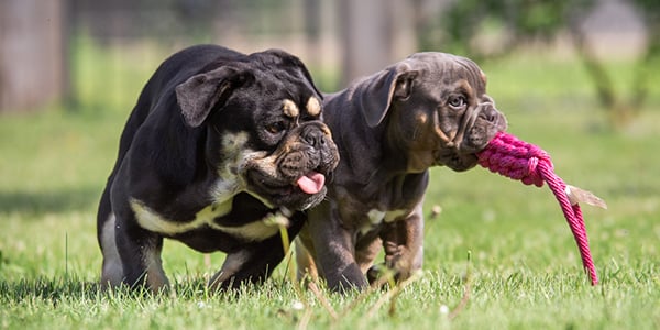 102725_Blog_WhenRelation_600x300b